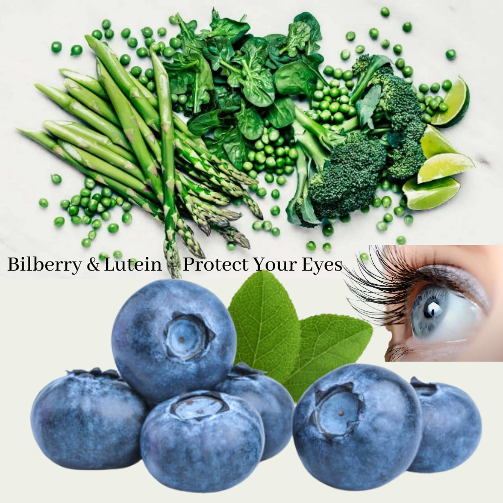 Bilberry & Lutein Protect Your Eyes Meifan Australia