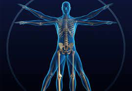 5 Ways to Keep Strong Healthy Bones