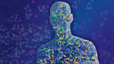 Probiotics Explained