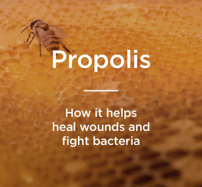 Propolis Truths explained – Meifan Australia