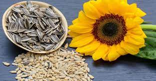 Lecithin - A Natural Emulsifier