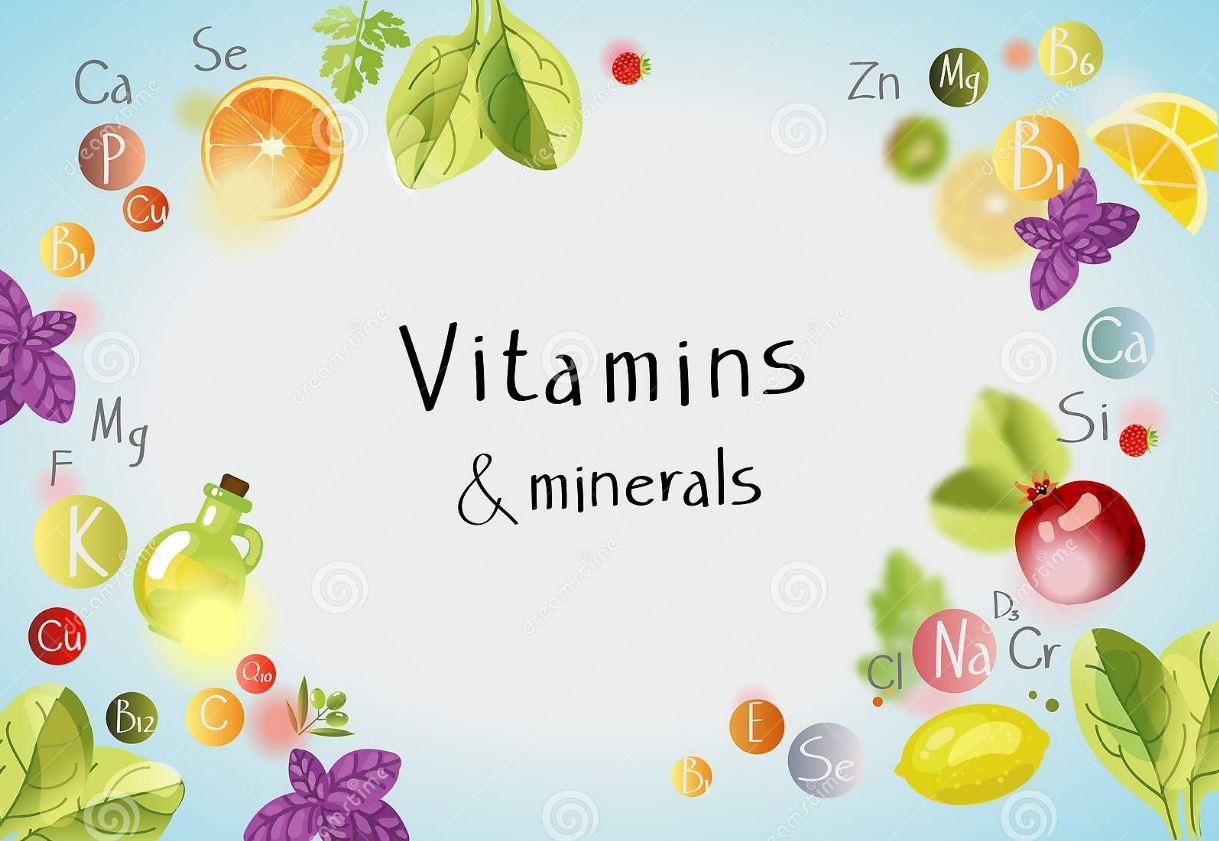 Vitamins Minerals & Enzymes